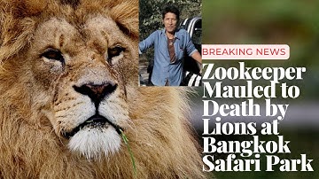 Zookeeper Mauled to Death by Lions at Bangkok Safari Park