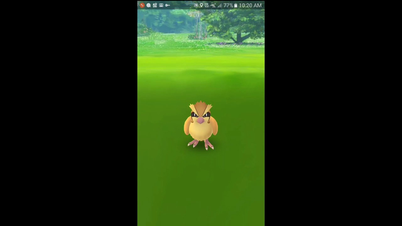 Pokemon hunting episode 1 