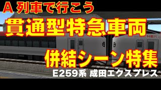 【A列車で行こう】貫通型特急車両の併結特集