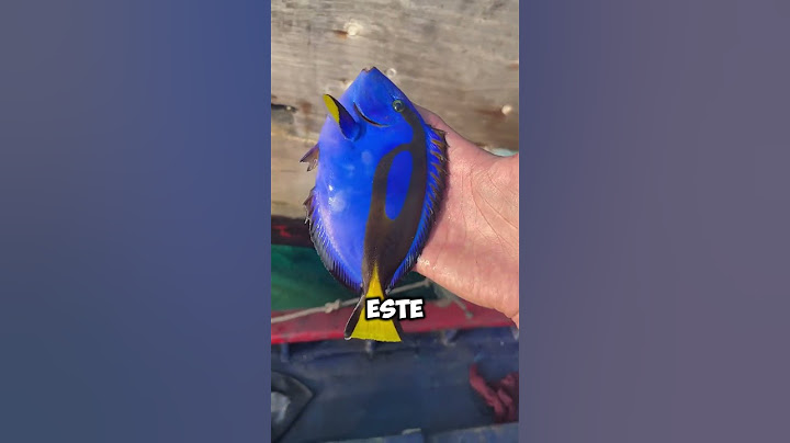 ¡Increíble! Encuentran a Dory en la Pesca 🎣🐟 #shorts