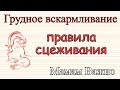 Правила сцеживания грудного молока