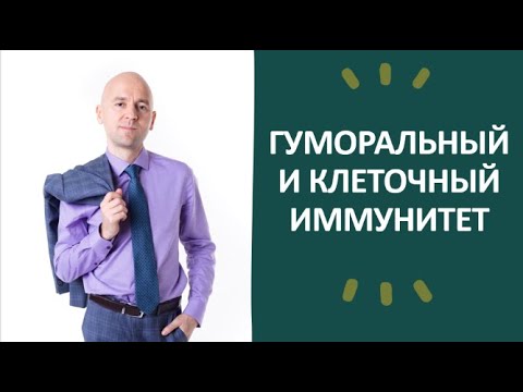 27. Гуморальный и клеточный иммунитет