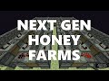 Minecraft Elegance: Next-Generation Honey Farms (Java 1.17, see description for 1.15 and 1.16)