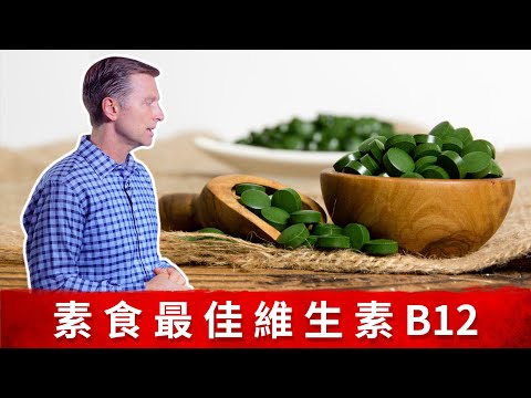 素食最佳維生素B12來源