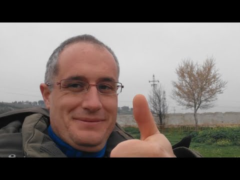 Cómo Convertirte En Adiestrador A Tiempo Completo