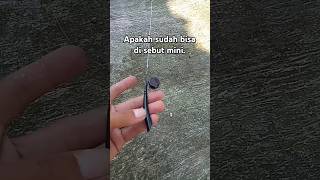 Joran Minijoran Wader