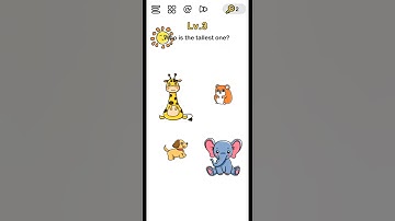 Brain Out Level 1 2 3