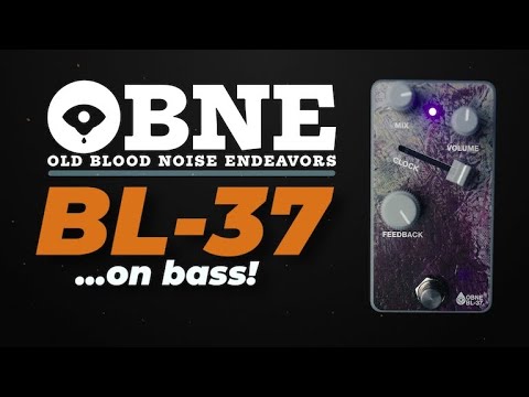 Not your average reverbOld Blood Noise Effects BL-37 bass