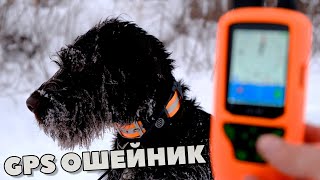 Обзор и распаковка. GPS Ошейник ARTELV TRACKER SOLO для городских и охотничьих собак. Моё мнение🧐