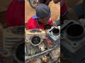 Show Them Some Love Real Viralvideo