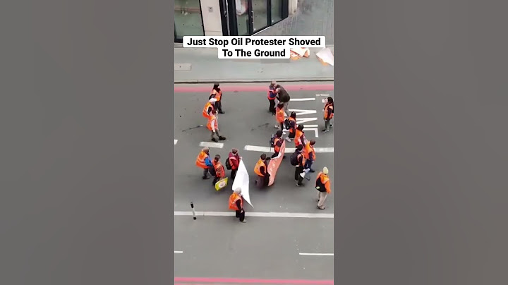 Just Stop Oil Protesters Attacked