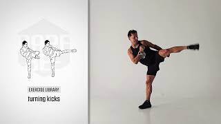 Exercise Library: Turning Kicks
