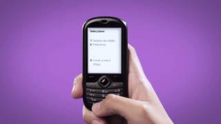 Cómo Pagar Un Préstamo Con Tpago?