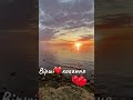 Вірші#stefani #вірші #love #відеопоезія #кохання #любовь #море #rek
