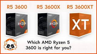 AMD Ryzen 5 3600 vs 3600X vs 3600XT - Which AMD Ryzen 5 3600 is right for you?