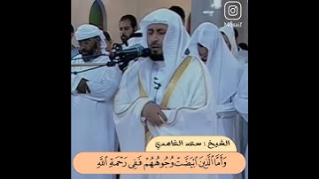 تلاوة ما تيسر من سورة آل عمران - الشيخ سعد الغامدي