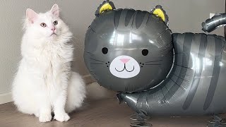 Cats vs Cat Balloon