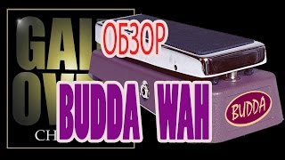 BUDDA WAH (Pedal Review) - GAIN OVER 