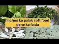 Finches ko palak soft food dena chahiye ya nahi#birdssafe#birdslife#finchcare