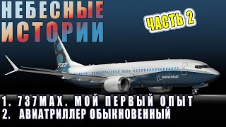 Небесные истории. Часть 2. ПРИКЛЮЧЕНИЯ В ГРОЗАХ. #авиация #boeing737