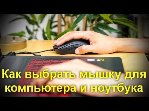 Какую Мышку Купить Для Ноутбука