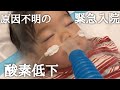 【緊急入院】酸素低下/浮き出た血管/炎症反応の危険性