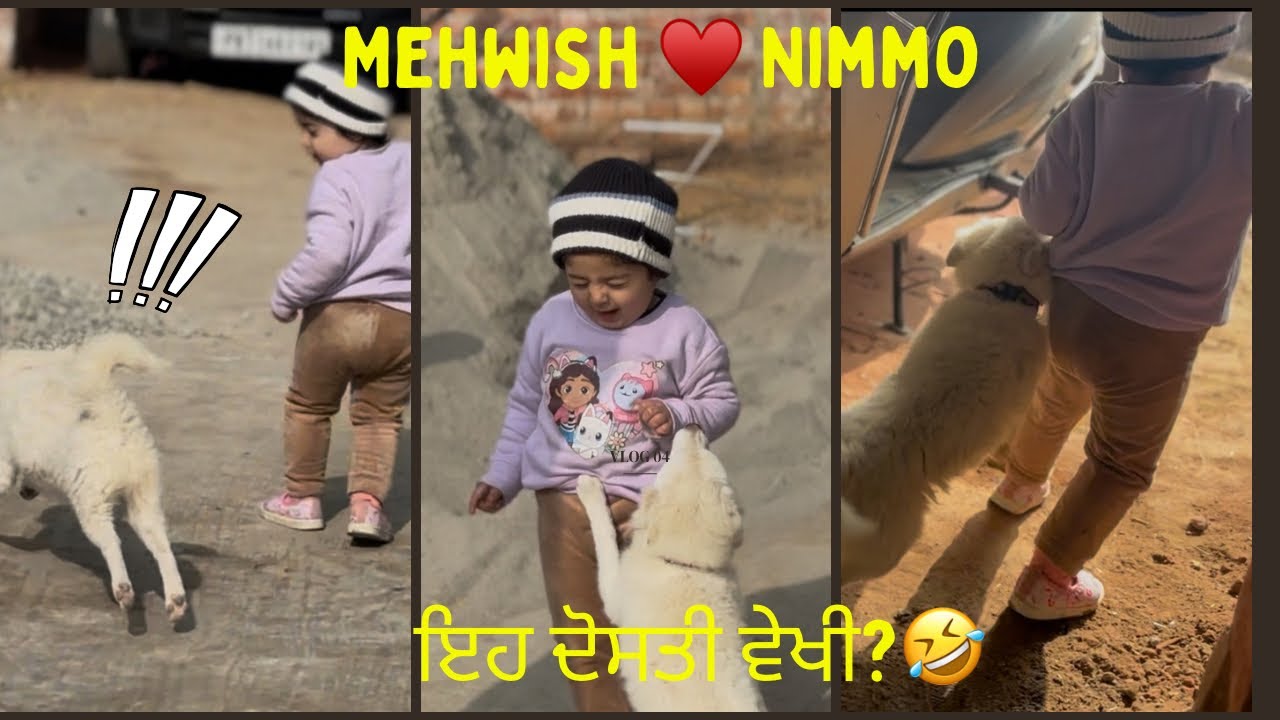 “Mehwish ਤੇ Nimmo di dosti ❤️🐾ਬੋਲਾਂ ਤੋਂ ਬਿਨਾਂ ਵੀ ਪਿਆਰ ਹੁੰਦਾ ਏ”