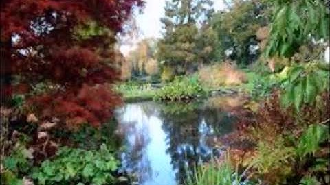 تلاوة من سورة الرحمن يتلوها الأخ / ابو تركي حفظه الله