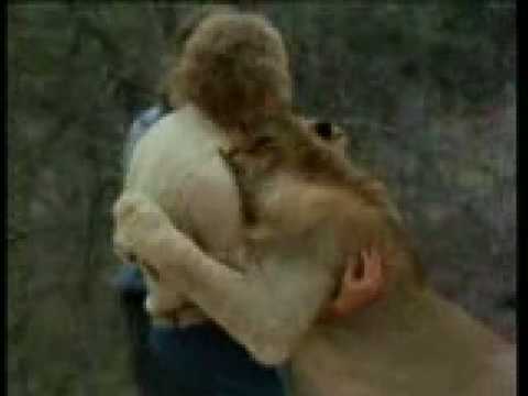 3 Christian The Lion - Top 10 Viral Videos - TIME