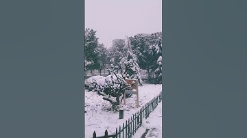 Snowy Morning in Suzhou, China. #snow  #travel #shanghai #shanghaitour