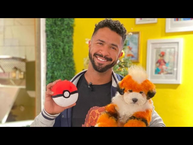 Dog groomer evolves puppy into fire Pokemon Arcanine in viral