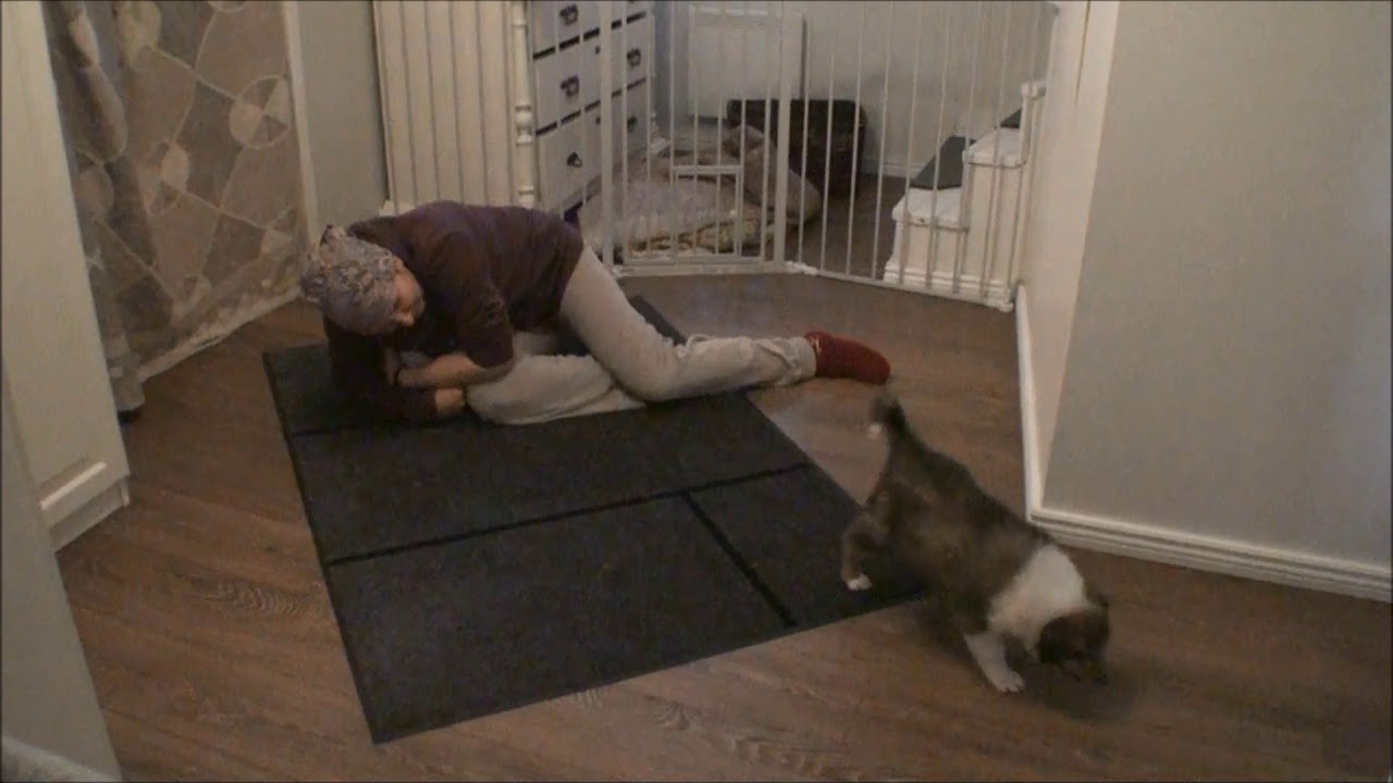 Twilight Moon Quick Quipy Pentutesti 24.10.2017