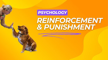 Understanding Reinforcements and Punishments | Psychology Explained