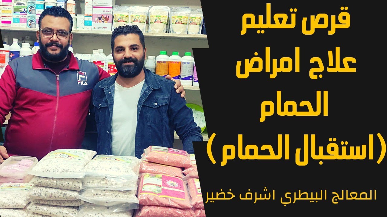 استقبال الحمام اول سلسلة علاج امراض الحمام على اليوتيوب/حمام بلا مرض 1