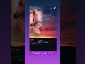 شاب حسني ياوعدي كي كنت