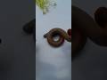 Clay poop💩 making😚😚#diy#art#claycrafts#funnyvideos#claypoop#crafts#foryou