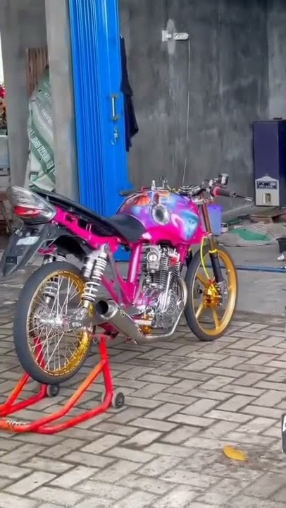 Story wa. Tiger trondol terbaru