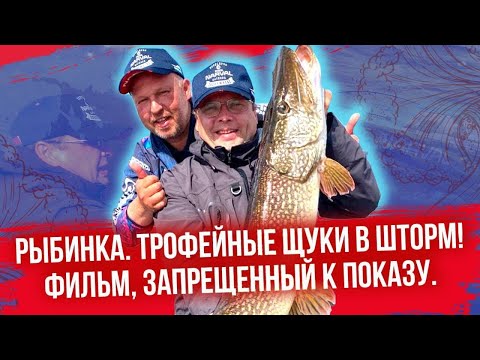 Video: Både Heldig Og Uheldig (om å Fange ål)