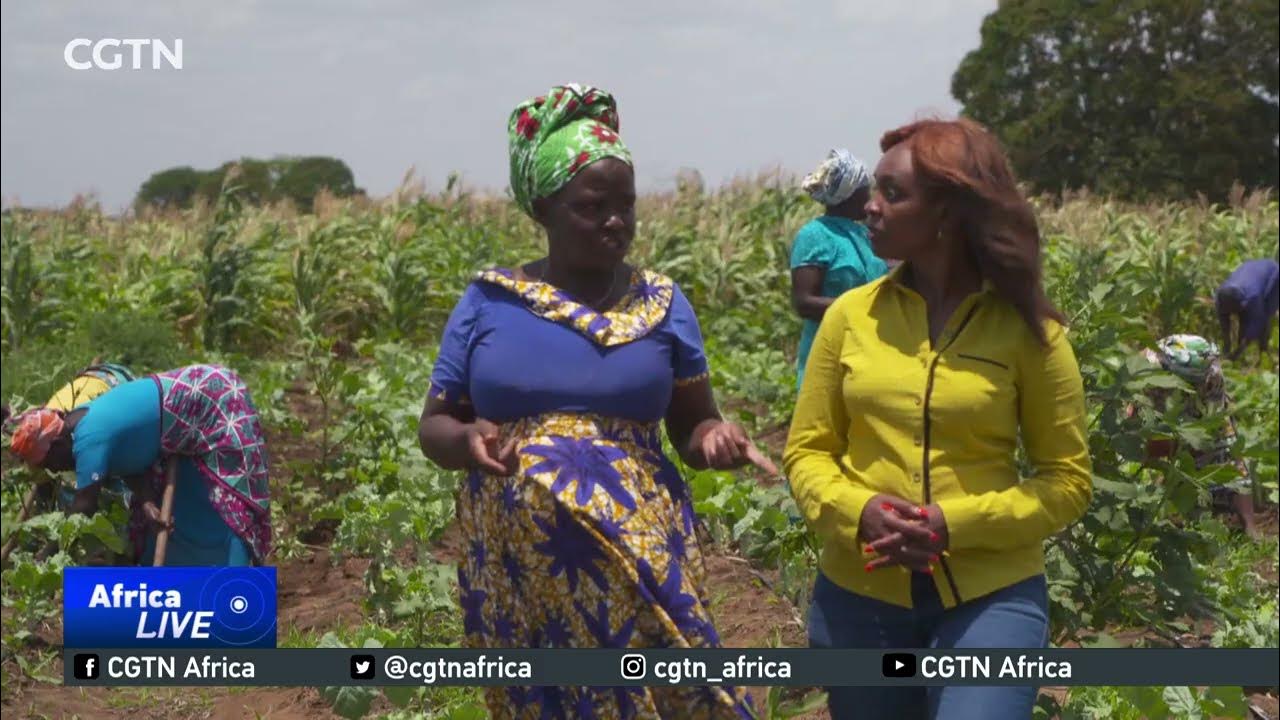 New farming techniques help develop an oasis of hope in drought-stricken parts of Kenya