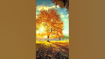 القرآن الكريم - سورة الضحى - ولسوف يعطيك ربك فترضى (٥)