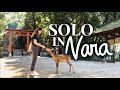 nara trip 🦌 from kyoto 🚃 bowing deer, scenic train ride, Nara Park, Tōdai-ji