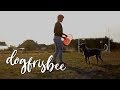 ^^ DOGFRISBEE - OUR SANCTUARY ^^ australian cattle dog Everest の動画、YouTube動画。