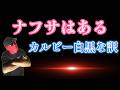 【闇を暴くシリーズ】ナフサはあるのか？ないのか？どうなってるのか？