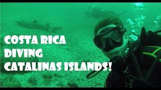 Islas Catalinas, Costa Rica Scuba Diving, Nov. 27, &#39;21 w/ Be Water Diving! Sharks, Eels, and More!!