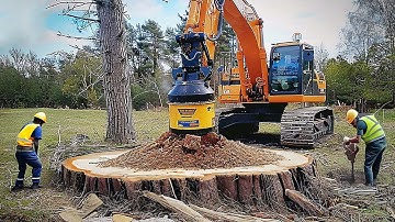 Amazing Biggest Stump Removal Excavator At Another Level, Incredible Stump Removal Grinding Machine
