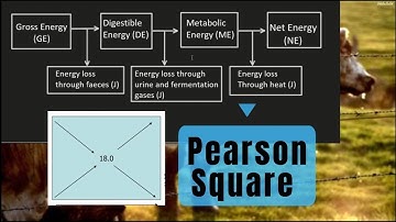 ENERGY VALUE. PEARSON SQUARE METHOD. GRADE 12 AGRICULTURAL SCIENCES. How to calculate Energy Value.