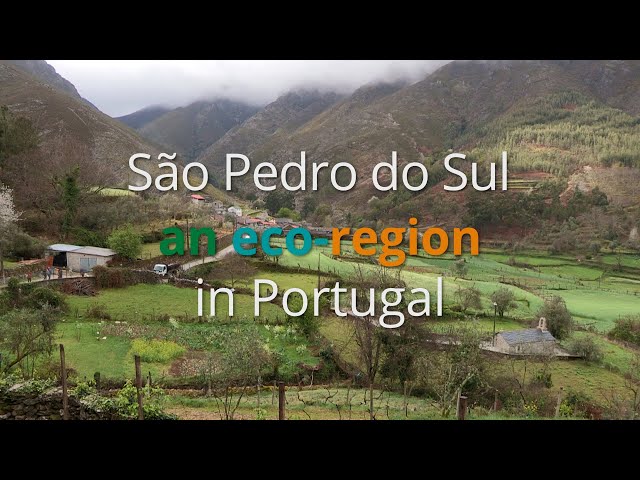 Notícias de São Pedro do Sul e Região
