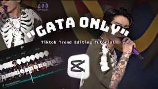 GATA ONLY Tiktok Trend Editing Tutorial || CAPCUT TUTORIAL