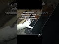 #billieeilish #tiktok #8 kïsak#iyjncu#dizi#bağımlilık #keşfet #love #reels
