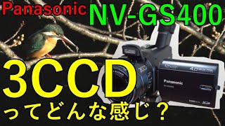 【ジャンク】550円 Panasonic デジタルビデオカメラ NV-GS400 動作検証・作例 3CCDってどんな感じ？